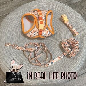 Floral  Harness and Leash Set - Orange